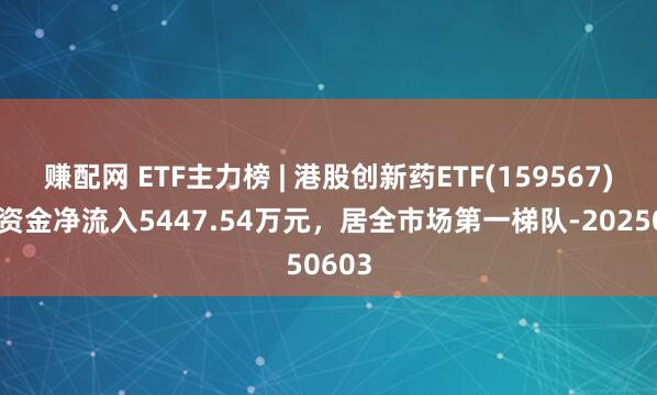 赚配网 ETF主力榜 | 港股创新药ETF(159567)主力资金净流入5447.54万元，居全市场第一梯队-20250603