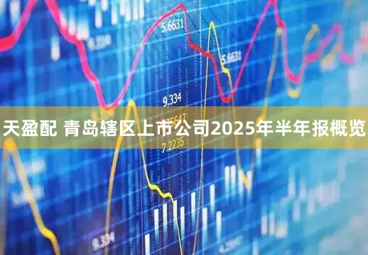 天盈配 青岛辖区上市公司2025年半年报概览