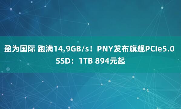 盈为国际 跑满14.9GB/s！PNY发布旗舰PCIe5.0 SSD：1TB 894元起